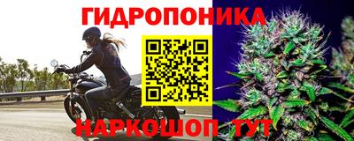 твердый Бугуруслан