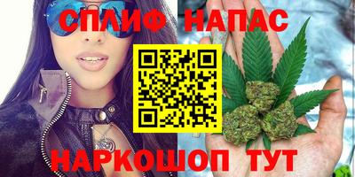 PSILOCYBIN Будённовск