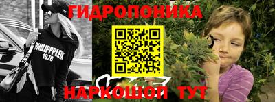 PSILOCYBIN Будённовск