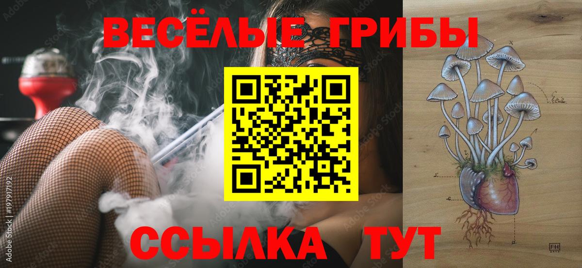 Псилоцибиновые грибы прущие грибы  Вход с VPN  Орёл 